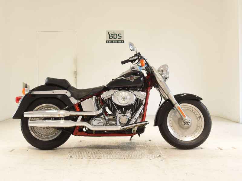 Harley-Davidson FLSTF SE2 2006
