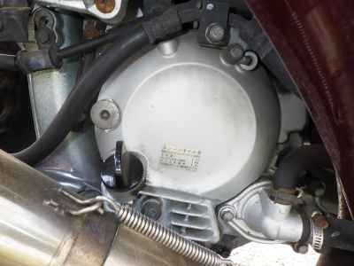 Honda Forza Z Trike 2010
