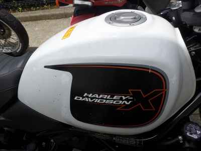 Harley-Davidson X500 2024