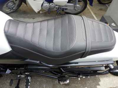 Harley-Davidson X500 2024
