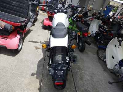 Harley-Davidson X500 2024