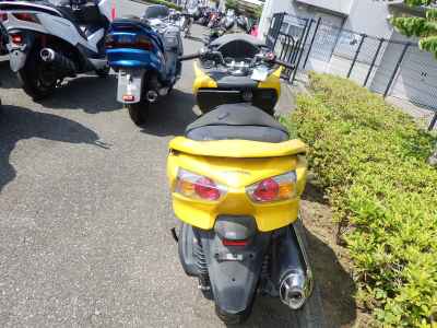 Honda Forza Z 2009