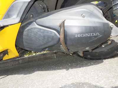 Honda Forza Z 2009