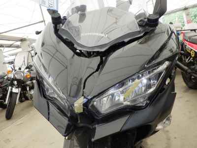 Kawasaki Ninja 250 2021