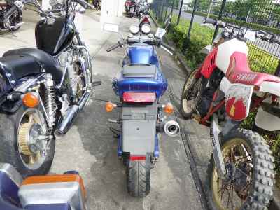 Suzuki Goose 350 1992