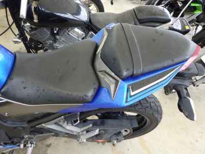 Kawasaki Ninja 250 2016