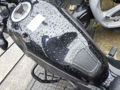Honda Rebel CMX250 2017