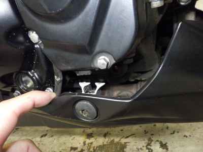Kawasaki Z1000 2021
