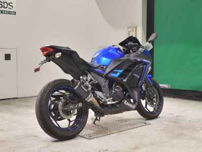 Kawasaki Ninja 250 2015