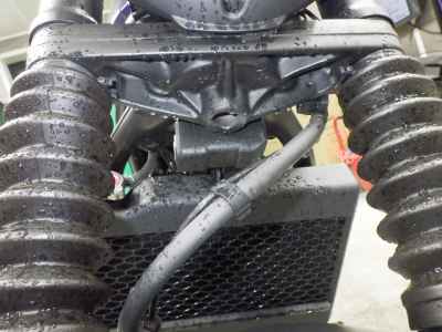 Honda Rebel S CMX250 2022