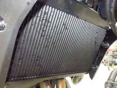Yamaha MT-07 2024