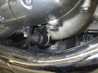 Kawasaki W800 2021