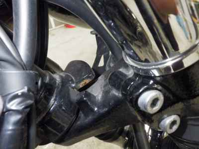 Kawasaki W800 2021