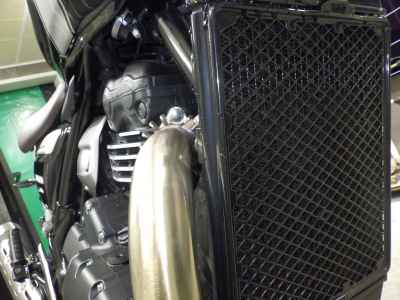 Triumph Scrambler 400X 2024