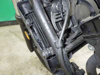 Honda Rebel CMX250 2019