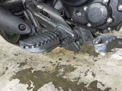 Honda Rebel CMX250 2019