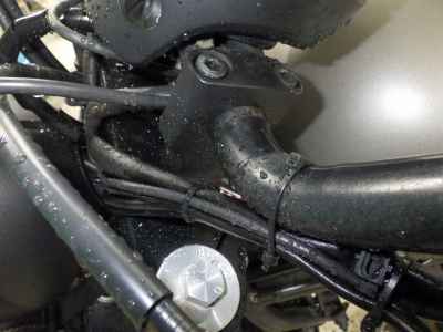 Honda Rebel CMX250 2019