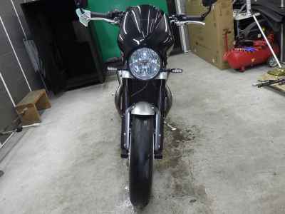 Triumph Speed Twin 2022