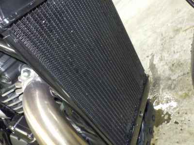 Triumph Speed 400 2024