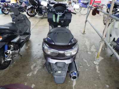 Honda Forza Z 2005