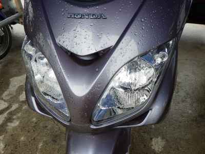 Honda Forza Z 2005