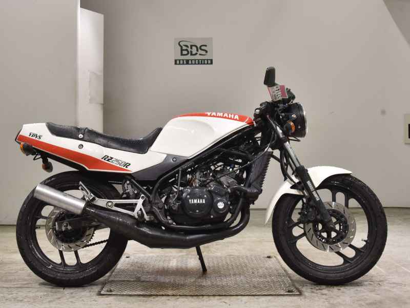 Yamaha RZ250R 1986