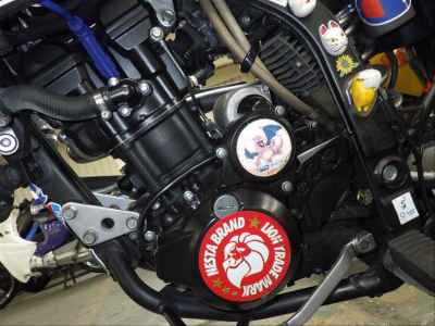Kawasaki D-Tracker 250 X 2013