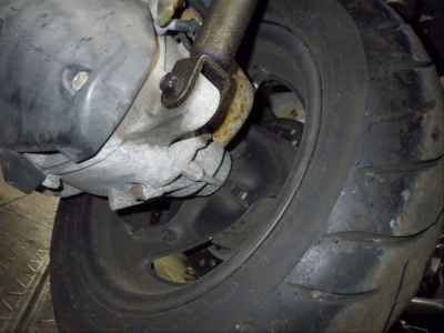 Honda Forza Z 2004