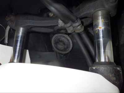 Honda Forza Z 2004