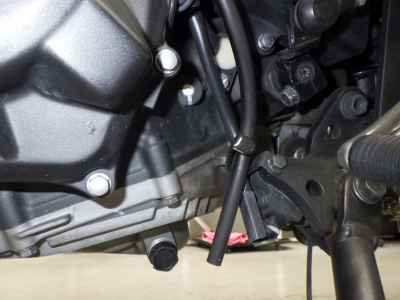 Kawasaki Z400 2019