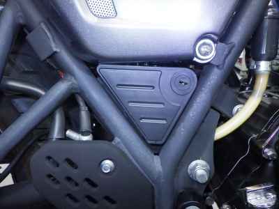 Kawasaki GPX Legend Twin 2020