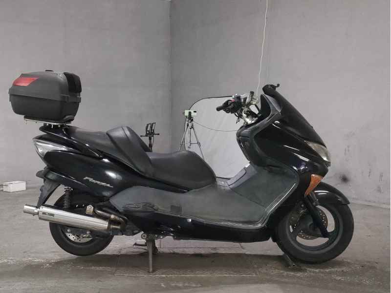 Honda Forza Z 2006