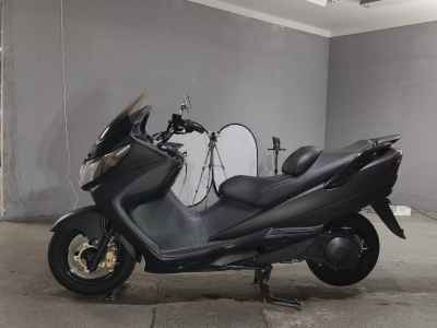 Kawasaki Epsilon 250 2006