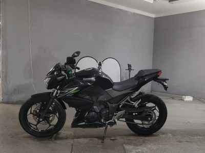 Kawasaki Z250 2013