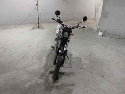 Yamaha TRICKER 2007