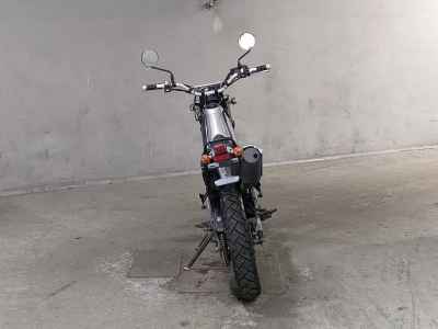 Yamaha TRICKER 2007