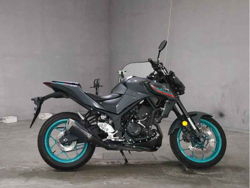 Yamaha MT-25 2022