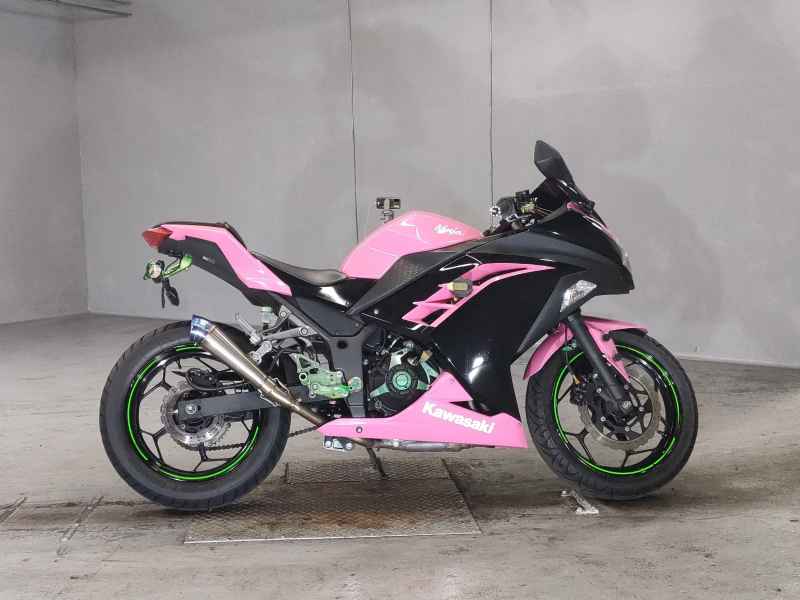 Kawasaki Ninja 250 2016
