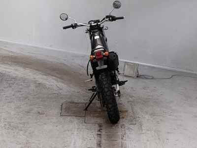 Yamaha TRICKER 2004