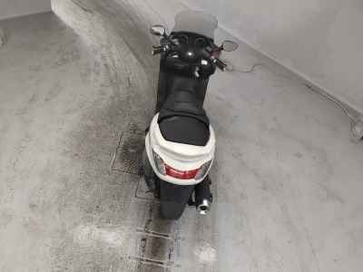 Yamaha Grand Majesty 250 2004