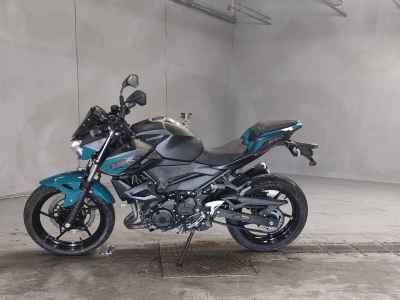 Kawasaki Z250 2021