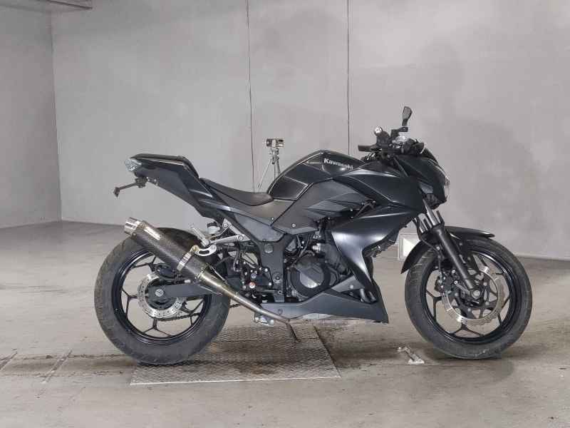 Kawasaki Z250 2013