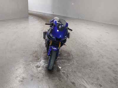 Yamaha YZF-R3 2019
