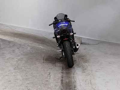 Yamaha YZF-R3 2019