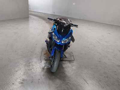 Kawasaki Ninja 1000 2012