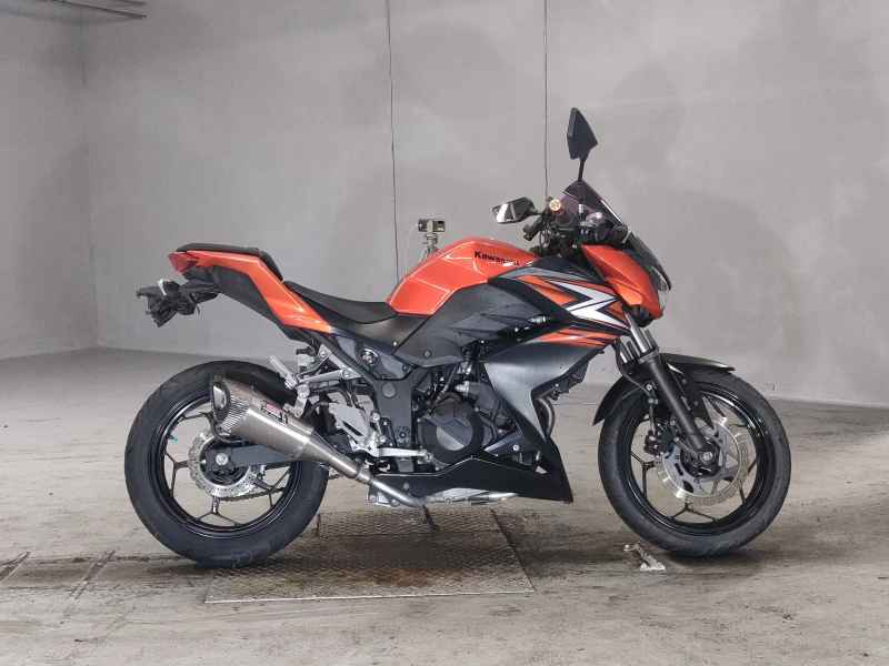 Kawasaki Z250 2014