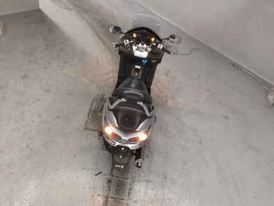 Honda Forza Z 2007