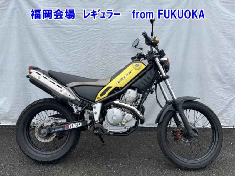 Yamaha TRICKER 2004