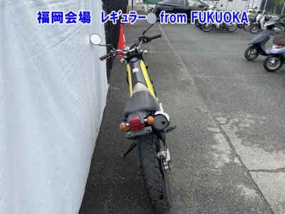 Yamaha TRICKER 2004