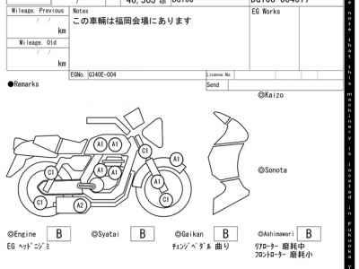 Yamaha TRICKER 2004